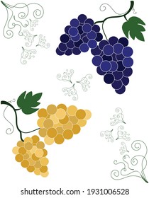 Flat vector drawing of two types of vines. Playful composition
