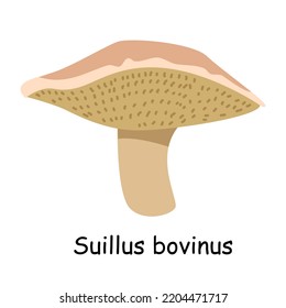 A flat vector of an edible mushroom isolated on a white background.
