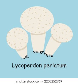 A flat vector of an edible mushroom isolated on a blue background.