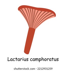 Un vector plano de un hongo comestible aislado en un fondo blanco.