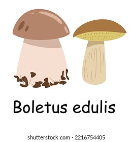 A flat vector of an edible mushroom isolated on a white background.