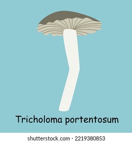 A flat vector of an edible mushroom isolated on a blue background.