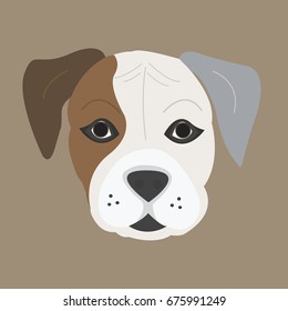 Flat vector face of american bulldog