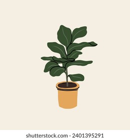 Flat vector fiddle leaf fig illustration