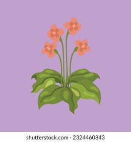 flat vector flower plant by seeyouproject