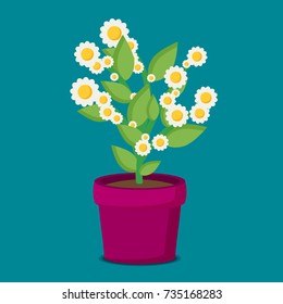 Flat vector flower in pot