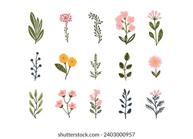 flat vector flowers set collection