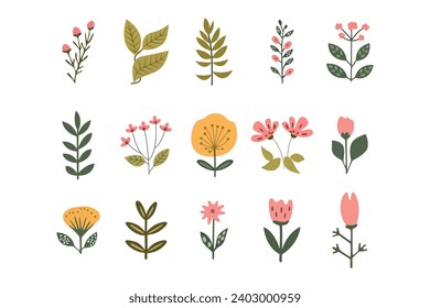 flat vector flowers set collection