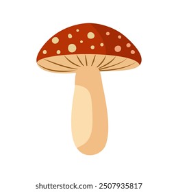 Flat vector fly mushroom on isolated background Red mushroom. Fresh fall seasonal illustration. Autumn mushroom cap and stem. 