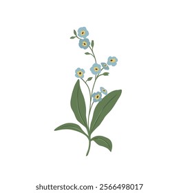 Flat vector forget-me-not flower drawing