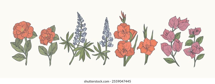 Flat vector garden flowers. Camellia, lupin, gladiolus, bougainvillea