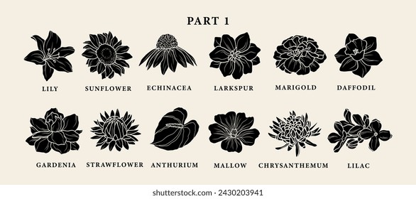 Flat vector garden flowers collection