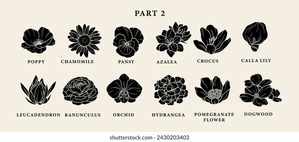 Conjunto de flores de jardín de vector plano