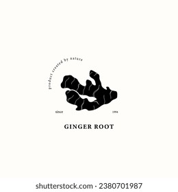 Flat vector ginger root illustration