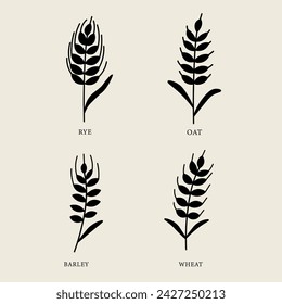 Ilustración vectorial plana del grano. Cebada, trigo, centeno, avena