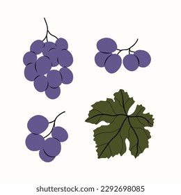 Dibujo de ramas de uvas vectoriales planas