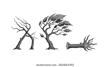 Flat vector graphic of three distinct trees representing damage from strong wind, broken trunk, and uprooted fall.