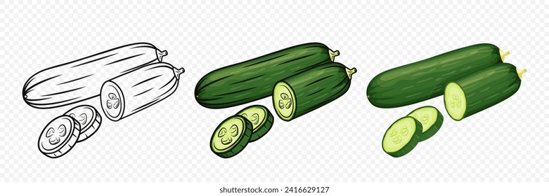 Conjunto de pepinos planos verde fresco completo y en rodajas. Plantilla de diseño de cucharón de caricaturas fresco, ilustración de vectores detallada