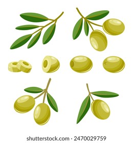 Flat Vector Green Olives and Branch Set. Hand Drawn Olive Tree Berry and Branch Clipart. Olive Twig with Leaves. Design Template for Olive Oil Products, Packaging, Food Concept