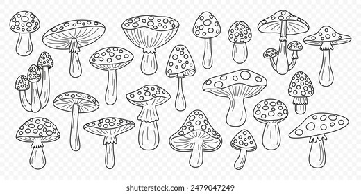 Flat Vector Hand Drawn Black and White Cartoon Fly Agaric Mushrooms Outline Illustration. Amanita Muscaria, Fly Agaric Illustration, Mushrooms. Magic Mushroom Icons, Design Template