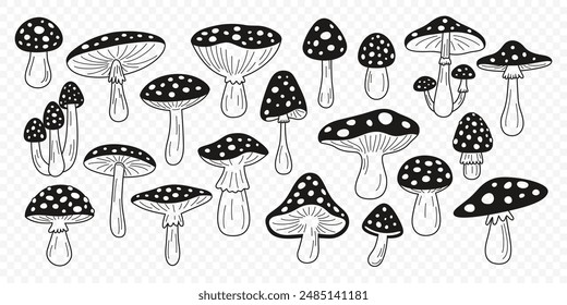 Flache Vektorgrafik Handgezeichnete Schwarz-Weiß-Cartoon-Fliege-Agaric-Pilze Umriss-Illustration. Amanita muscaria, Fliegenpilz Illustration, Pilze. Magic Mushroom Icons, Design-Vorlage