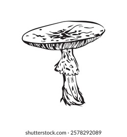 Flat vector hand drawn black and white cartoon Fly agaric mushroom outline illustration. Fly agaric, Fly agaric illustration, mushrooms.