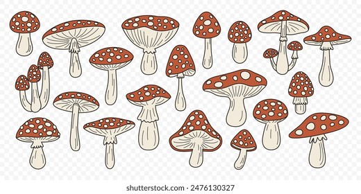 Flat Vector Hand Drawn Cartoon Fly Agaric Mushrooms. Amanita Muscaria, Fly Agaric Illustration, Mushrooms. Magic Mushroom Icons, Design Template