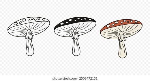 Flat Vector Hand Drawn Cartoon Fly Agaric Mushrooms Outline Illustration. Amanita Muscaria, Fly Agaric Illustration, Mushrooms. Magic Mushroom Icons, Design Template