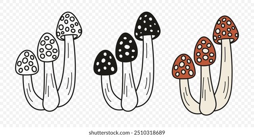 Flat Vector Hand Drawn Cartoon Fly Agaric Mushrooms Outline Illustration. Amanita Muscaria, Fly Agaric Illustration, Mushrooms. Magic Mushroom Icons, Design Template