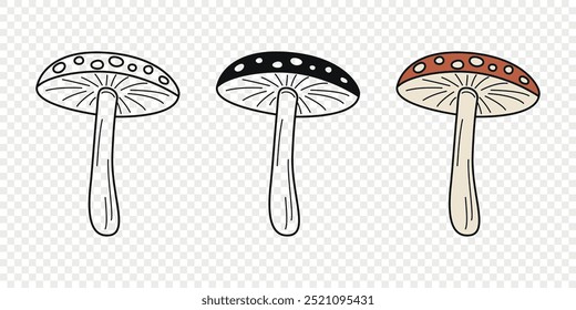 Vetor Plano Desenhado à Mão Cartoon Mosca Agárico Cogumelos Ilustração Contorno. Amanita Muscaria, Ilustração de Fly Agaric, Cogumelos. Ícones de Cogumelo Mágico, Modelo de Design