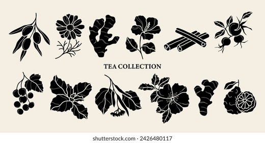 Flat vector herbal tea collection