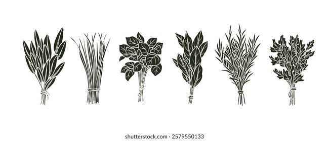 Flat vector herbs bunches collection. Sage, chives, basil, laurel bay, rosemary, coriander, parsley	