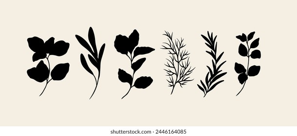 Flat vector herbs collection. Botanical illustration