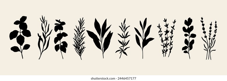 Flat vector herbs. Silhouette spices collection