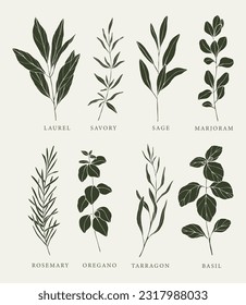 Flat vector herbs and spices collection