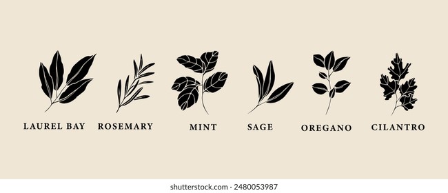 Flat vector herbs and spices collection