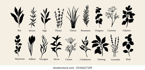 Flat vector herbs and spices collection