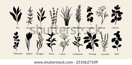 Flat vector herbs and spices collection