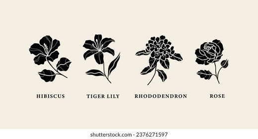 Flat vector hibiscus, tiger lily, rhododendron, rose