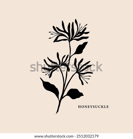Flat vector honeysuckle branch illustration