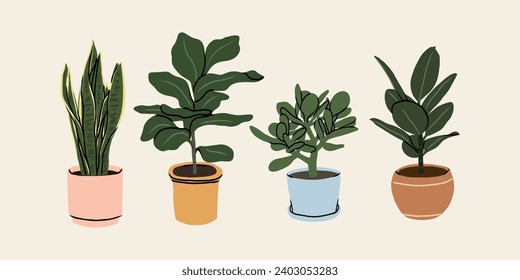 Flat vector houseplants collection. Snake plant, fiddle-leaf fig, jadeplant, rubber tree