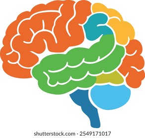  Vetor plano Estrutura anatômica do cérebro humano. Ilustração da anatomia do cérebro humano. Anatomia do cérebro humano vetorial em estilo plano, fácil recolorir. 