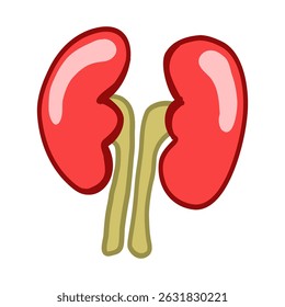 Vetor plano de rins humanos em estilo simples e moderno. Perfeito para cartazes médicos, ensino de anatomia, infográficos de saúde e conteúdo de saúde digital.