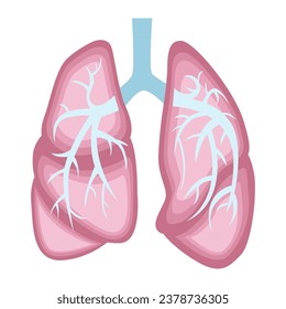 Flat vector human realistic lungs isolated white background. Anatomy of human organs. Logo medical pulmonology