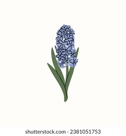 Flache Vektorgrafik-Hyazinthe-Illustration