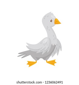 Flat vector icon of adult goose. Farm bird with white feathers, orange beak and legs. Domestic fowl