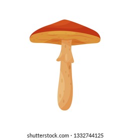 Flat vector icon of amanita caesarea or caesar's mushroom. Type of edible fungus. Forest plant. Autumn season