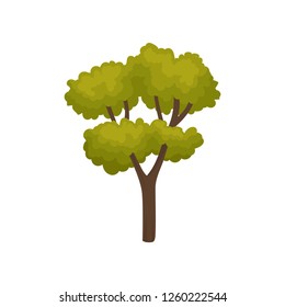 Flat vector icon of autumn tree with many branches and bright green foliage. Forest plant. Natural landscape element