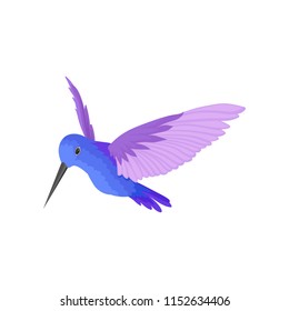 Flat vector icon of beautiful blue hummingbird with big purple wings. Small tropical bird with long thin beak. Fauna theme.