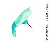 Flat vector icon of beautiful colibri bird. Tropical hummingbird with long thin beak. Wildlife and fauna theme